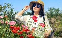 武则天秘史分集剧情介绍